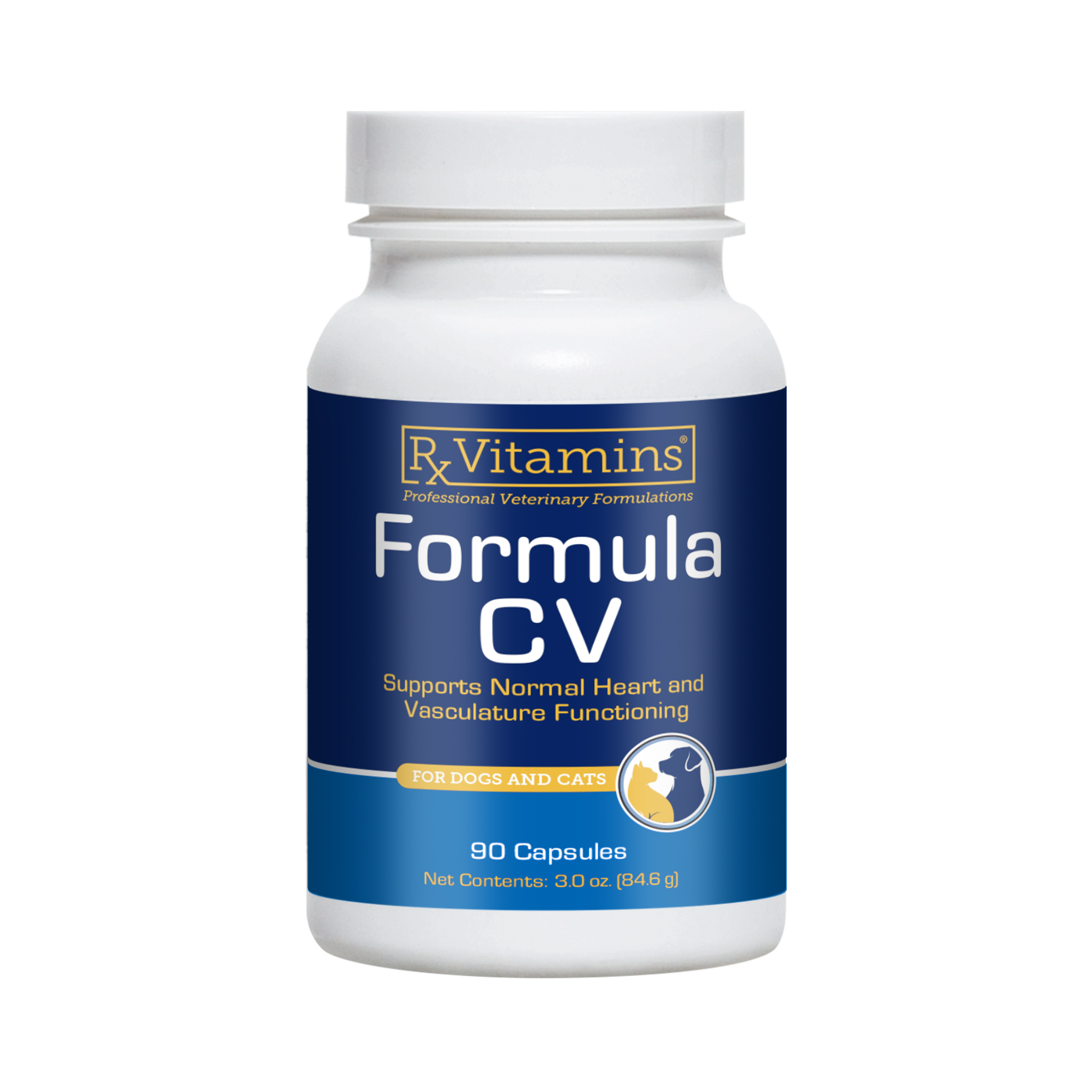 8100 Formula CV