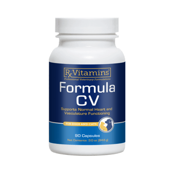 8100 Formula CV