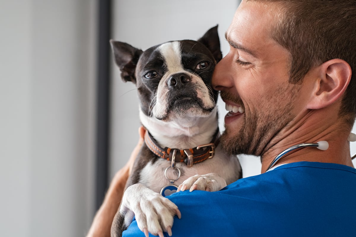 vet-cuddling-pet-dog-2023-11-27-05-07-18-utc